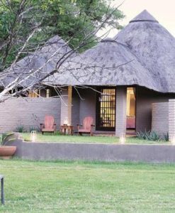 arathusa sabi