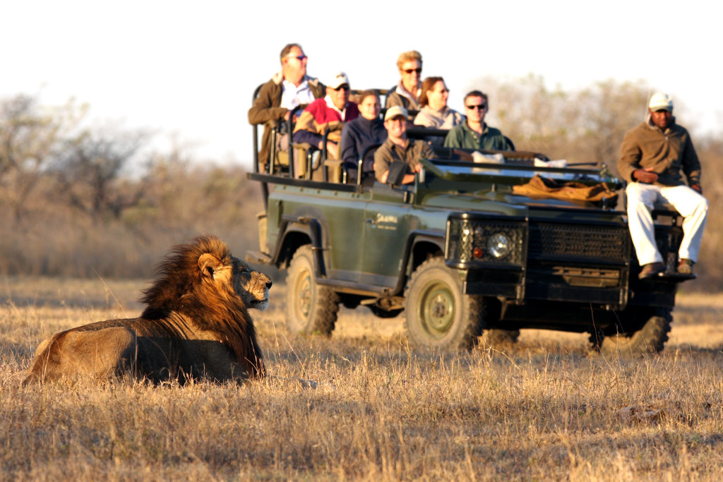 african safari for handicapped